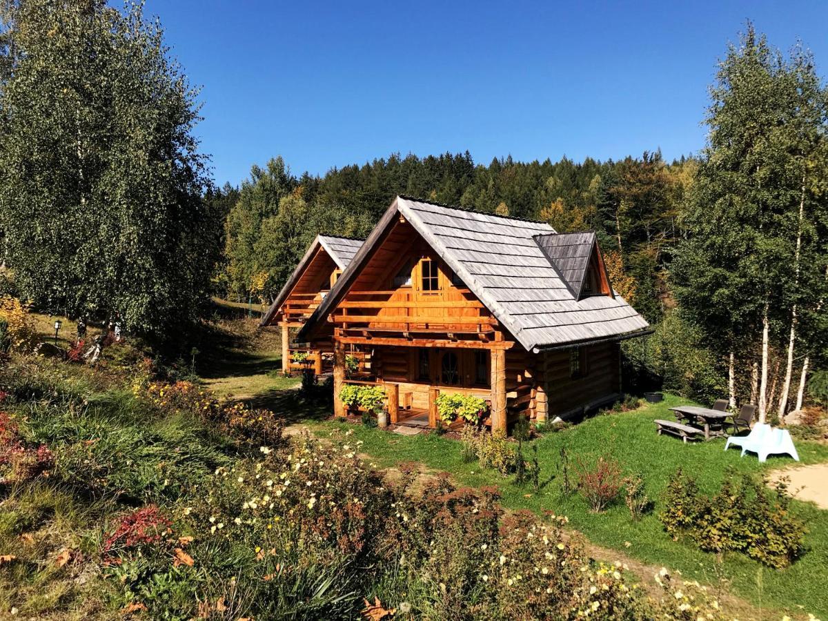 Lesniowka Domki W Karpaczu Экстерьер фото