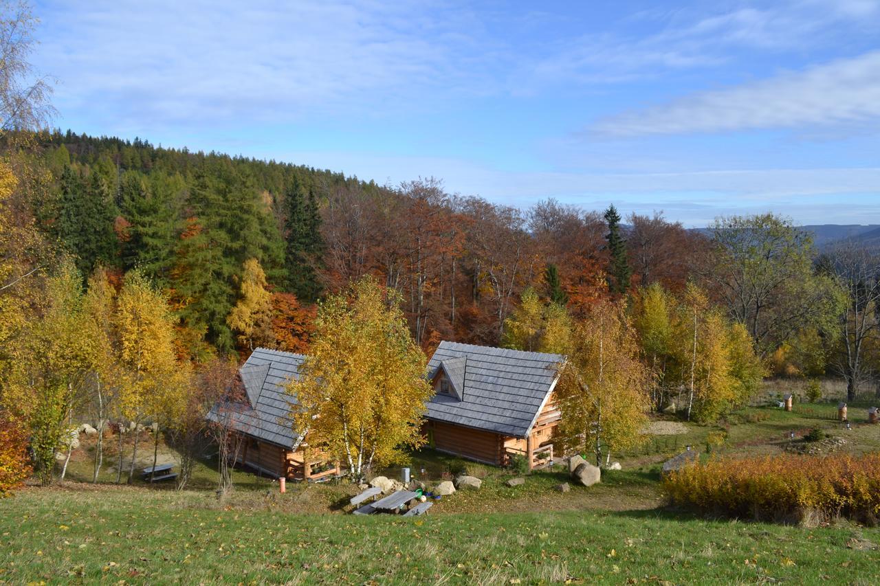 Lesniowka Domki W Karpaczu Экстерьер фото