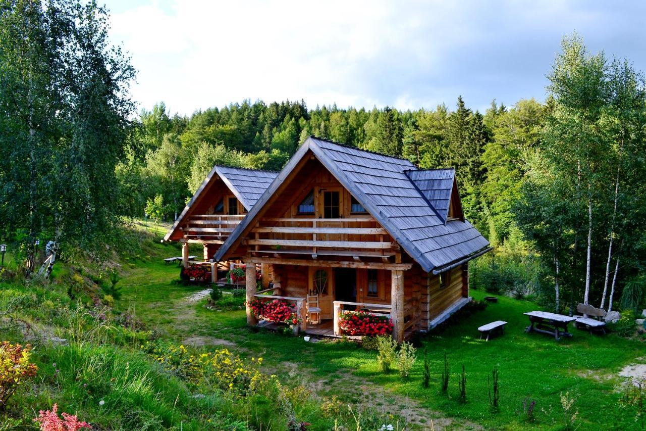 Lesniowka Domki W Karpaczu Экстерьер фото